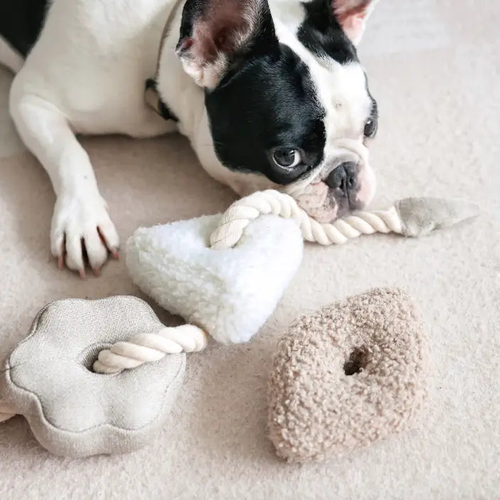 Blocs Enrichment Dog Toy Nude