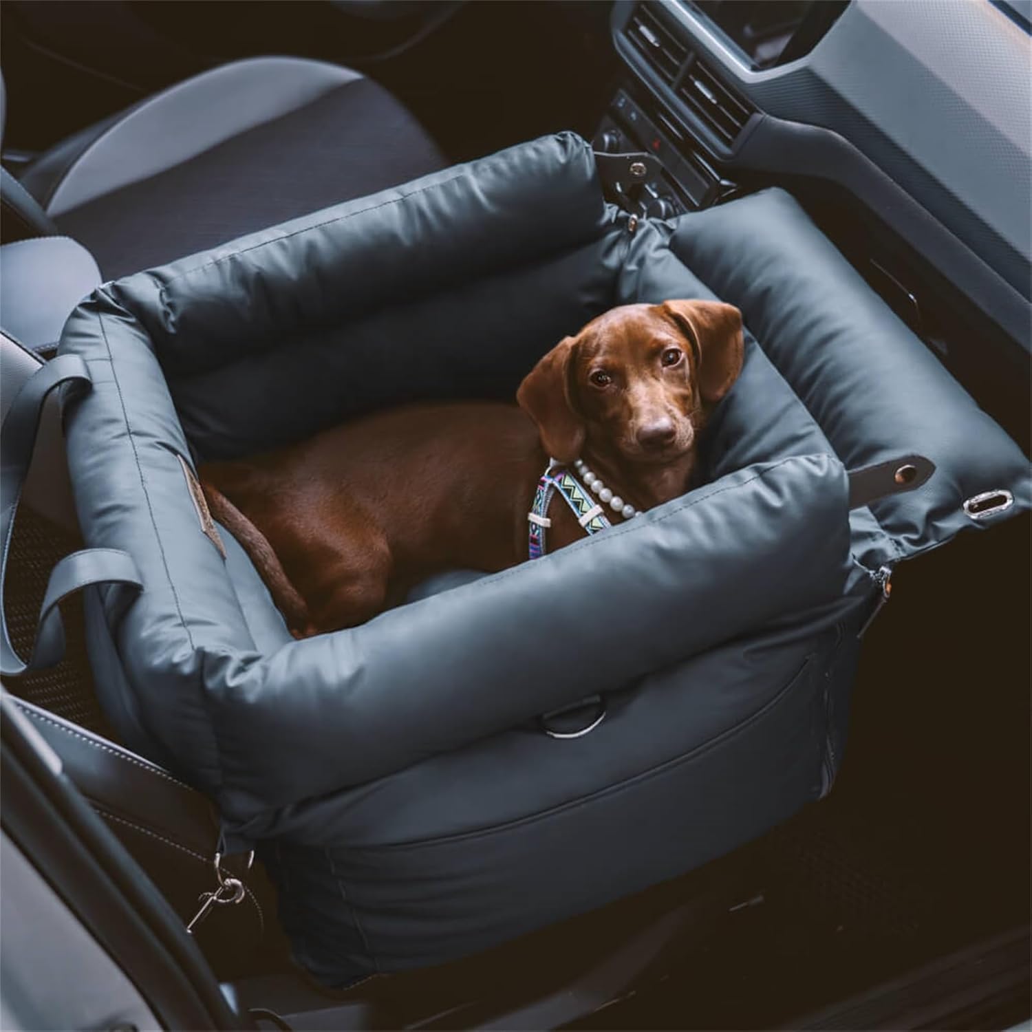 Premium Blue Pet Travel Carrier & Car Seat Booster