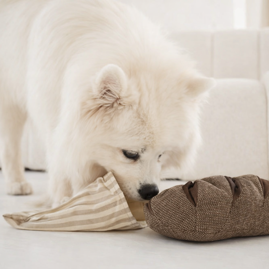 Rye Enrichment Dog Toy