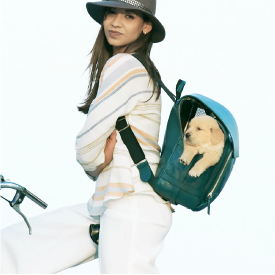Green Pebble-Grain Leather Carrier Backpack