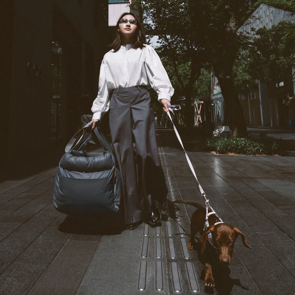 Premium Blue Pet Travel Carrier & Car Seat Booster