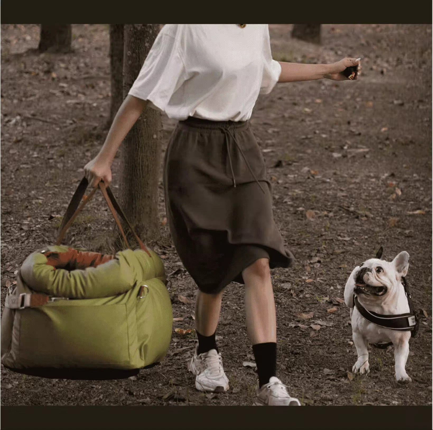 Premium Green Pet Travel Carrier & Car Seat Booster