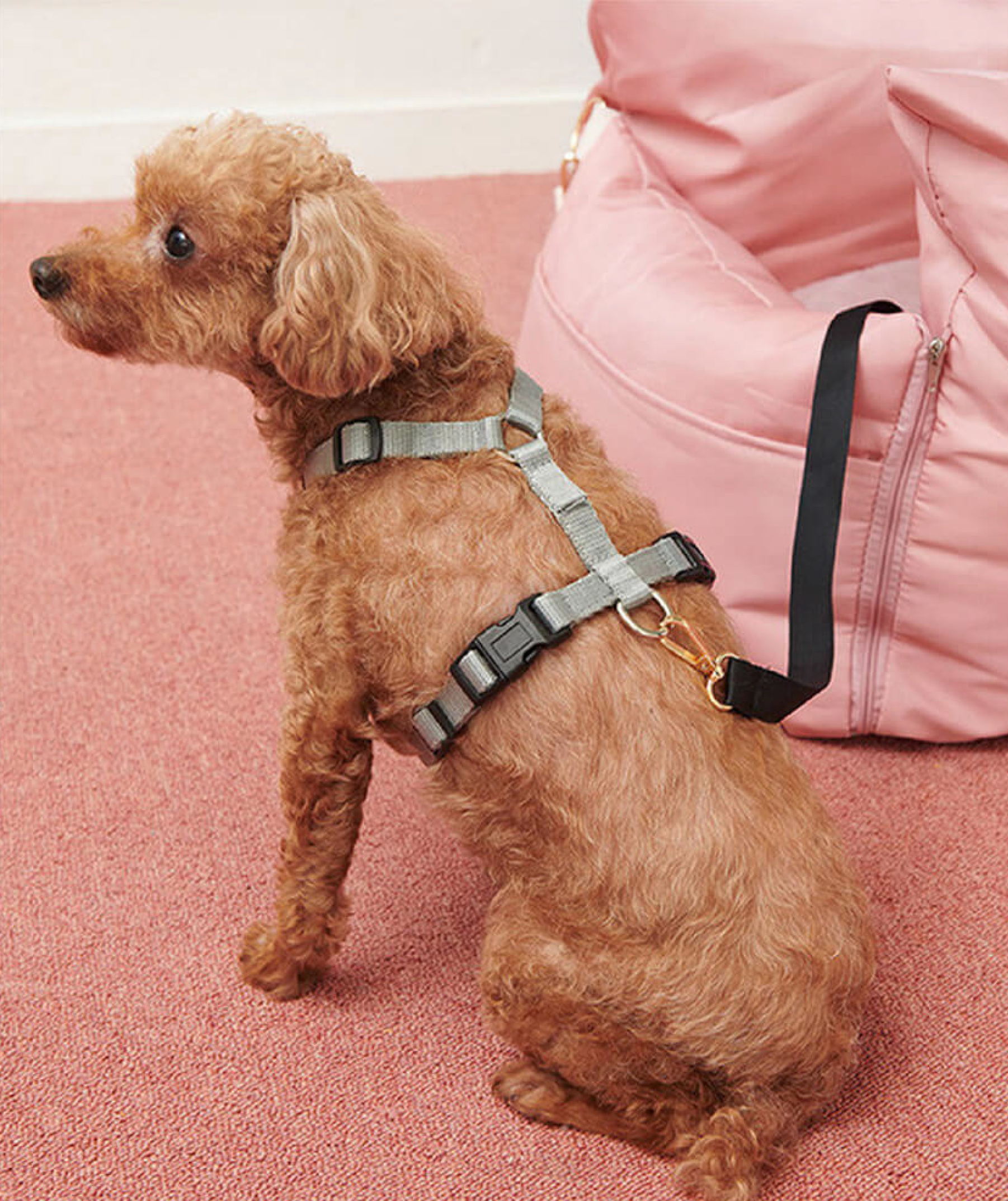 Pet Carrier Lounge Pink