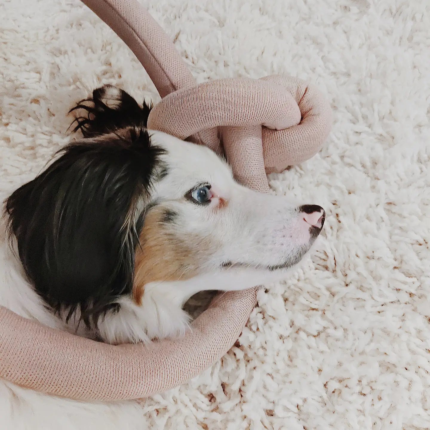 Nounou | Dogwood with Squeakers Enrichment Dog Toy