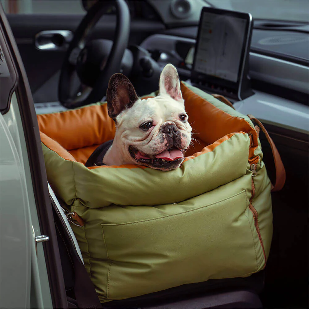 Premium Green Pet Travel Carrier & Car Seat Booster