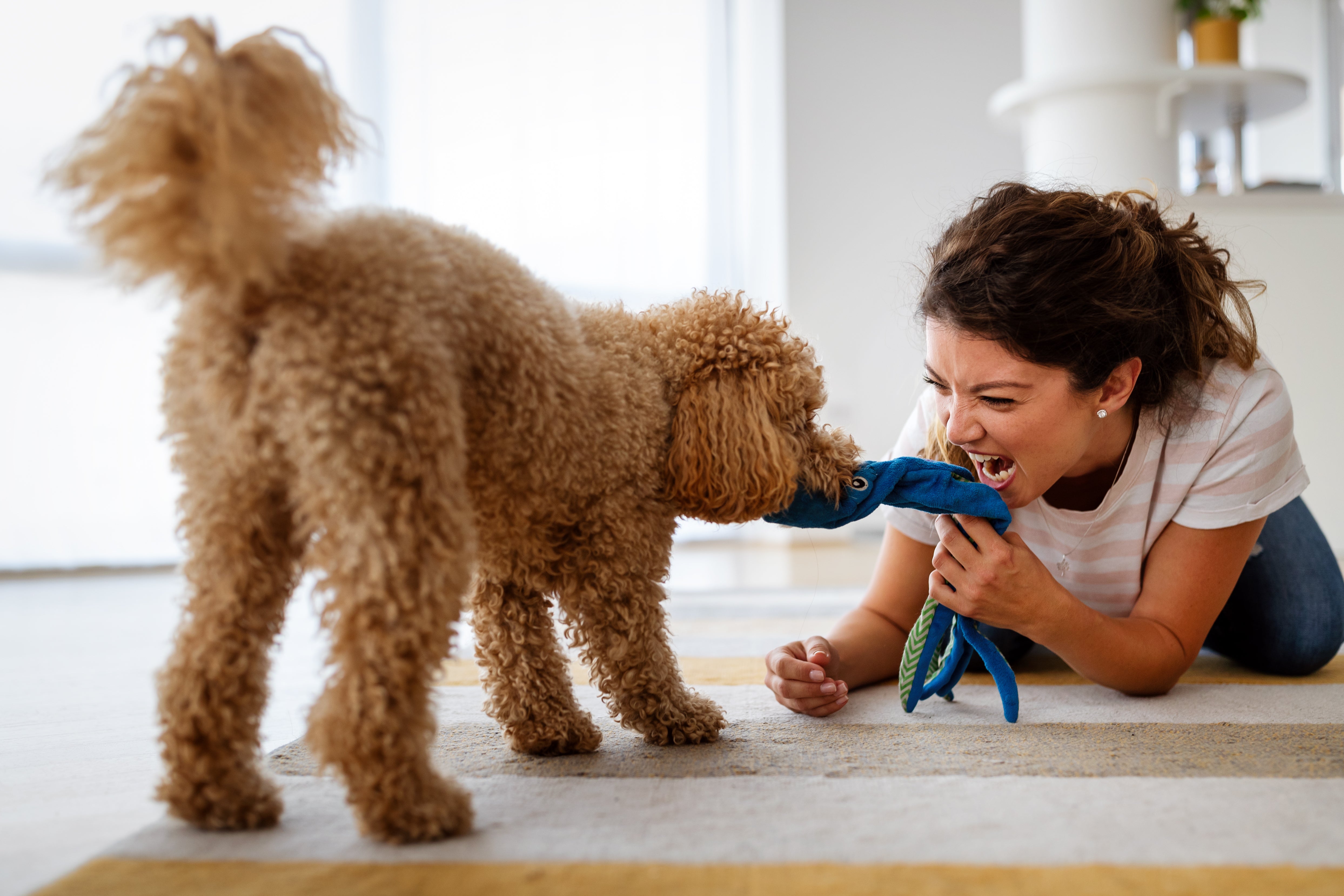 HOW MUCH EXERCISE IS ENOUGH?