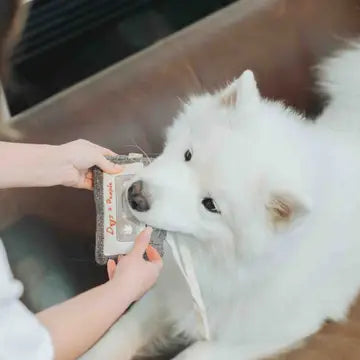 Cassette  Enrichment Dog Toy