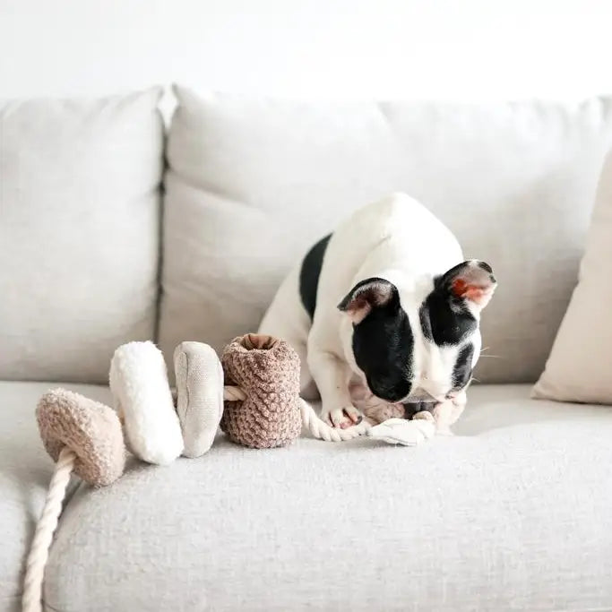 Blocs Enrichment Dog Toy Nude