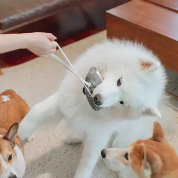Cassette  Enrichment Dog Toy
