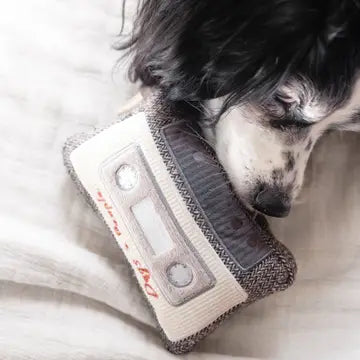 Cassette  Enrichment Dog Toy