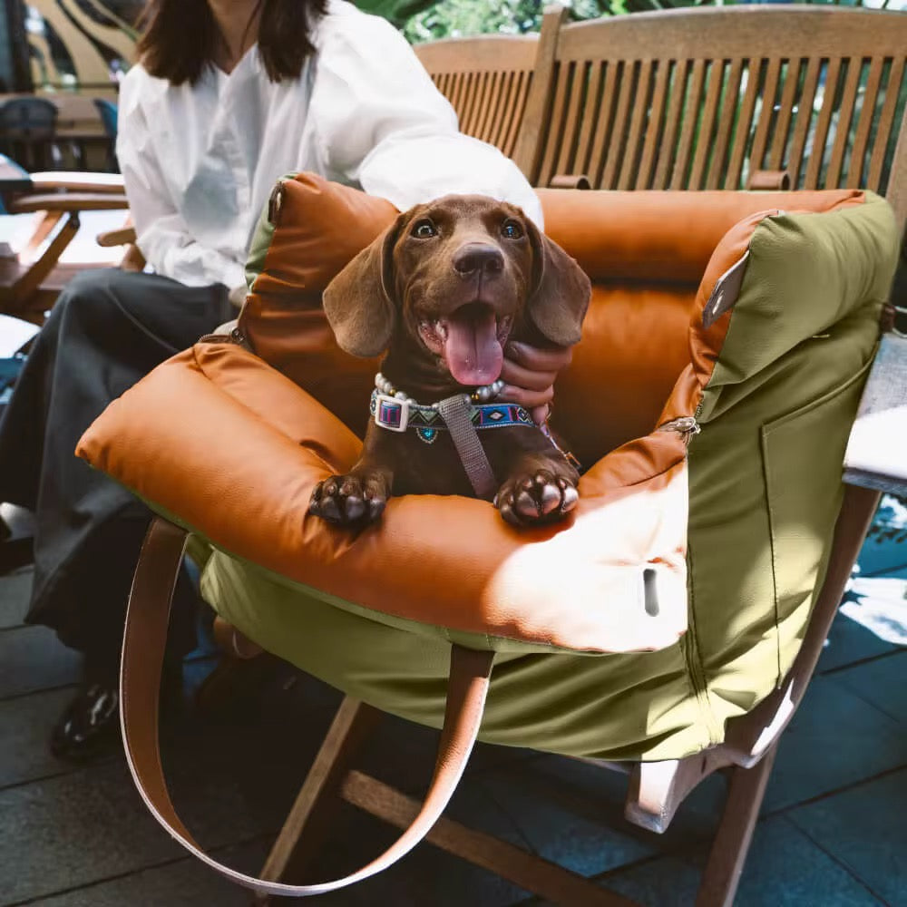 Premium Green Pet Travel Carrier & Car Seat Booster