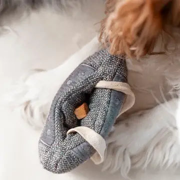 Cassette  Enrichment Dog Toy