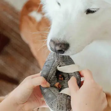 Cassette  Enrichment Dog Toy
