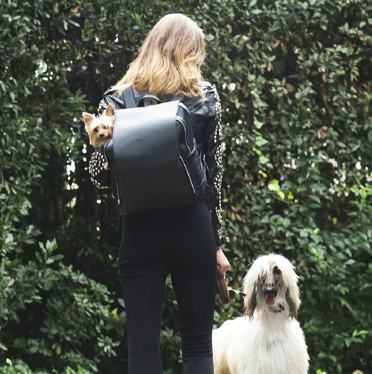 Black Pebble-Grain Leather Pet Carrier Backpack